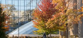 Fall color Mansueto Library from Library closures during Thanksgiving week 2023