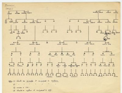 EeganKinshipChart2