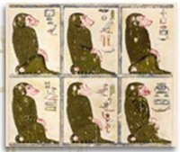 Egyptian baboons