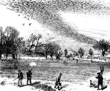 Drawing of men in a field pointing to a flock of pigeons overhead.