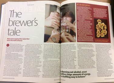 A photograph of a newspaper spread entitled "The Brewer's Tale" with an article and a photograph of friends drinking.