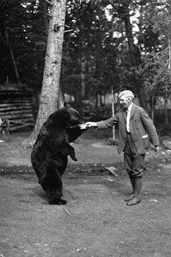 A man feeds a bear on its hind legs.