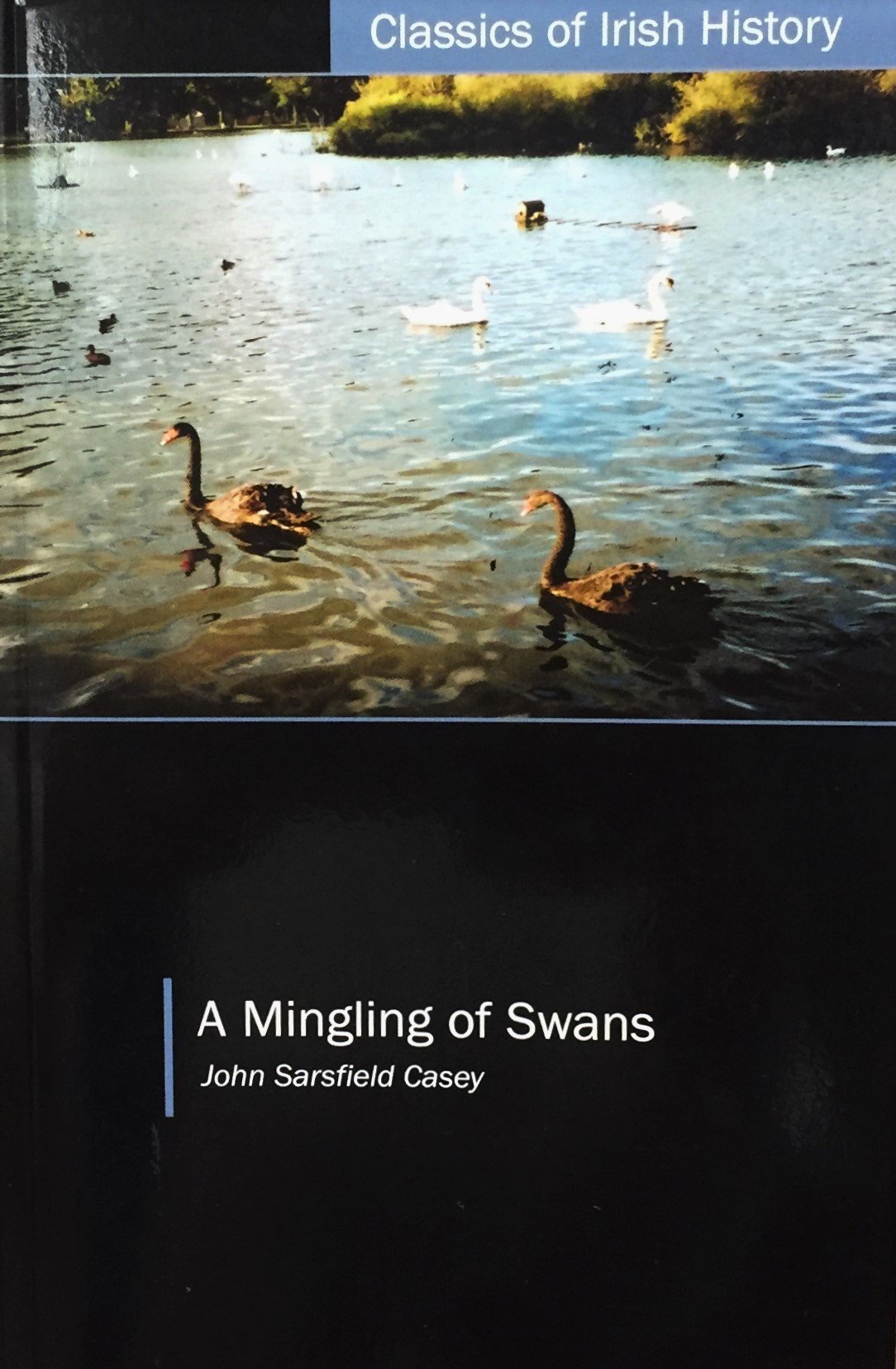 A book cover with a photo of swans on the water.