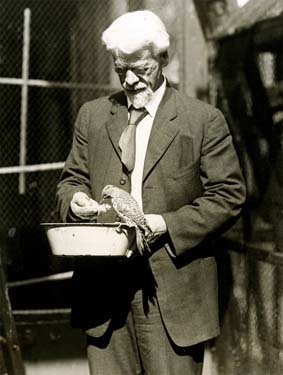 Photo of Whitman holding a bird