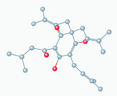 A diagram of a molecule.