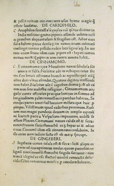 A page of old, printed Italian text.