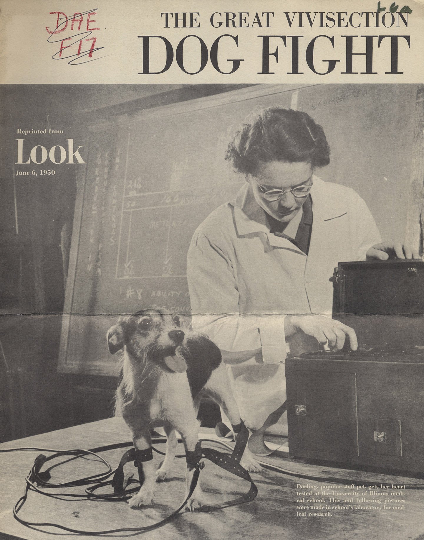 The Great Vivisection Dog Fight