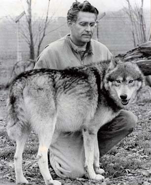 A man sits next to a wolf.