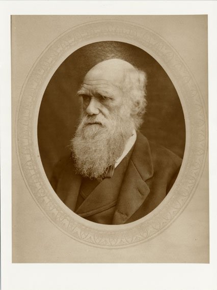 A portrait of a bearded man.