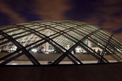 External view of Mansueto Library at night