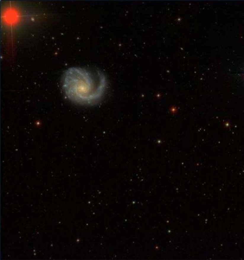 Black sky background with dots of white, red, yellow, and orange that are stars. In the upper left corner, there is a significantly larger red dot (star), and at a 45º angle from it about halfway between the corner and the center of the plate, there is a yellow-ish colored galaxy which appears to have a spiral arm.