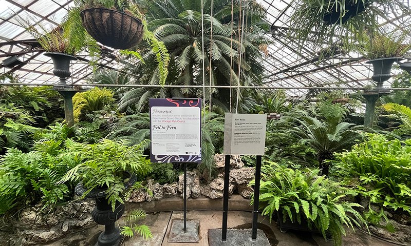 Signs and plants in the Fern Room