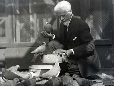 A bearded man holds and feeds several birds.