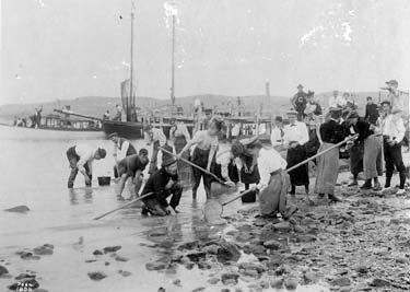 An old photograph of students examining ocean shallows.