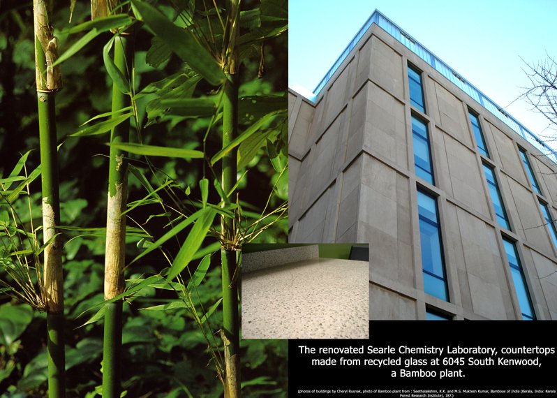 A picture of bamboo next to a picture of a concrete building and an up-close view of a stone countertop.