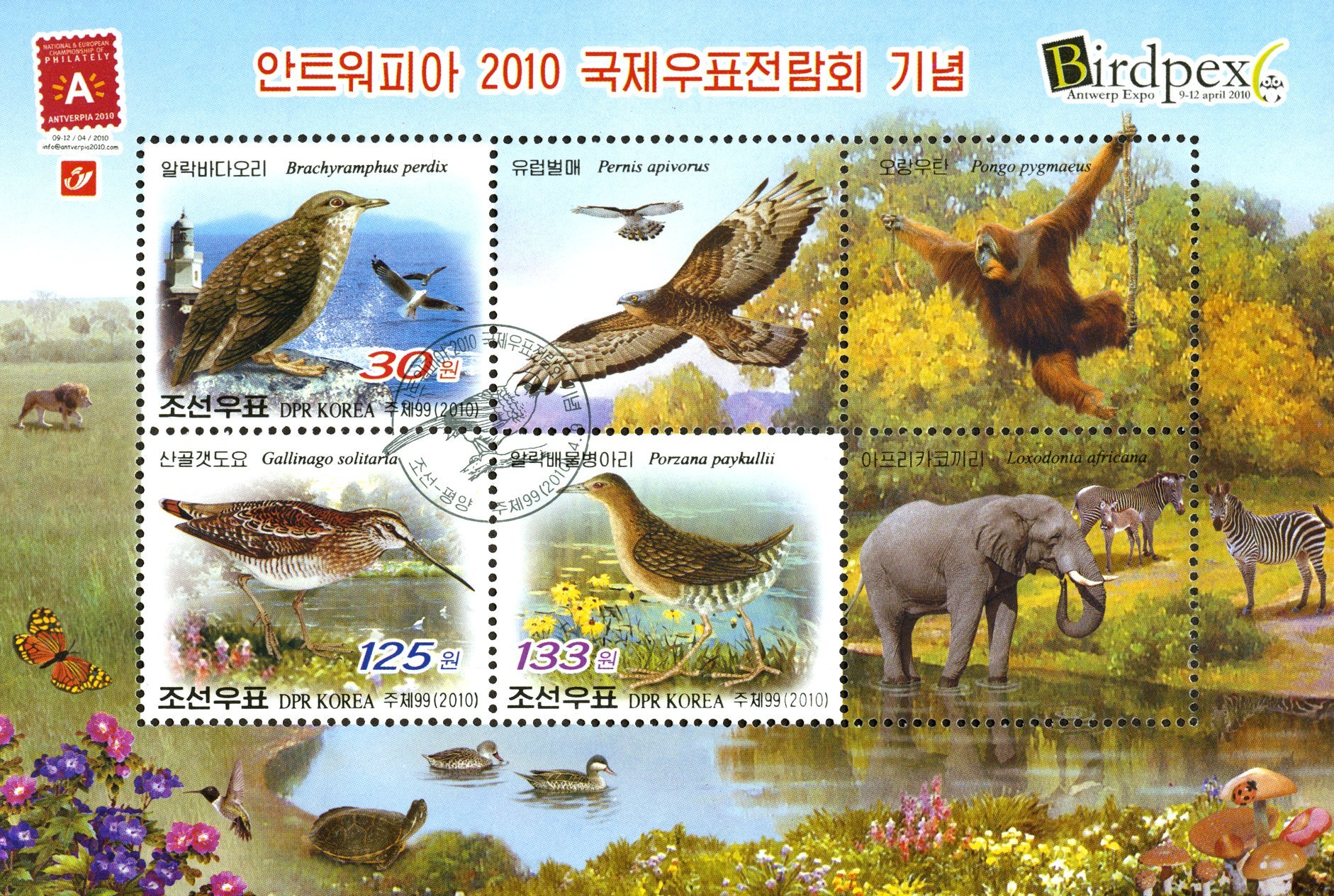A scene at a nature preserve shows several different brown birds, as well as a swinging orangutan and an elephant wading in a pool.