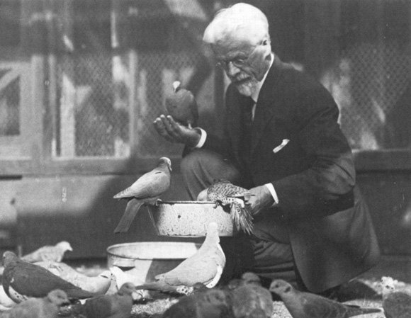 Photograph of Whitman