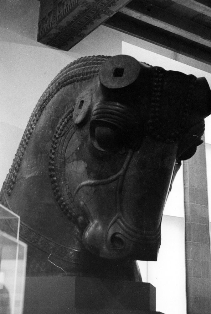 A large sculpture of a bull head with broken horns, 3/4 profile.