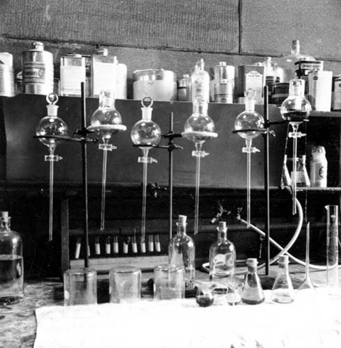 Test tubes and laboratory equipment lined up in rows.