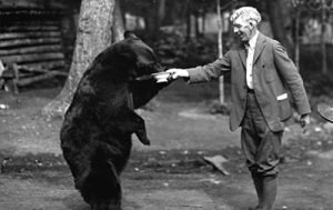 bear and professor