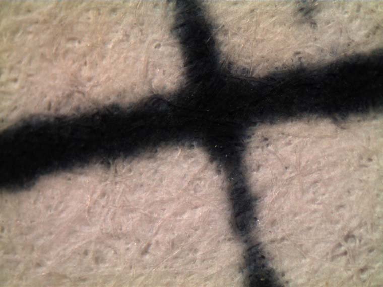 Microscope view of paper fibers and ink in a "x" shape
