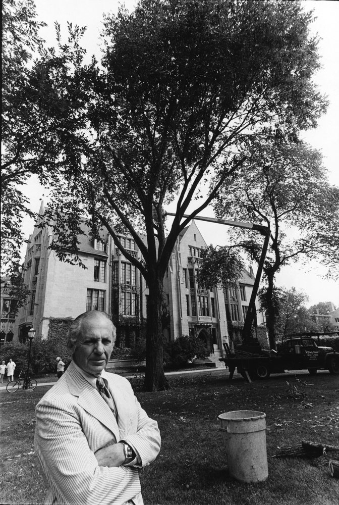 Photo of Anderson with tree in background