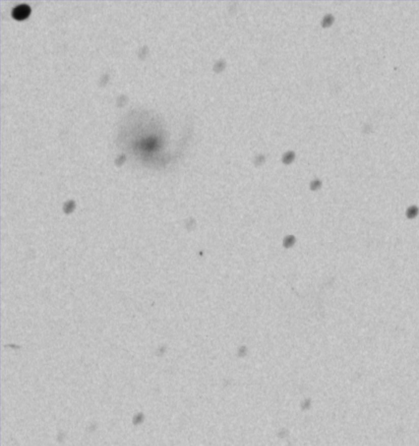 Gray sky background with black dots that are stars. In the upper left corner, there is a significantly larger black dot (star), and at a 45º angle from it about halfway between the corner and the center of the plate, there is a black and gray galaxy which appears to have a spiral arm.