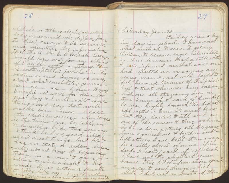 Pages from Ida B. Wells' diary, 1885-1887