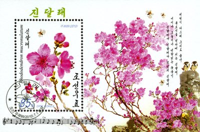 North Korean stamp featuring Rhododendron mucronulatum