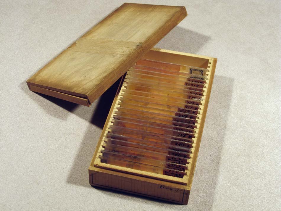 Wooden box with lid off showing about a dozen glass microscope slides.