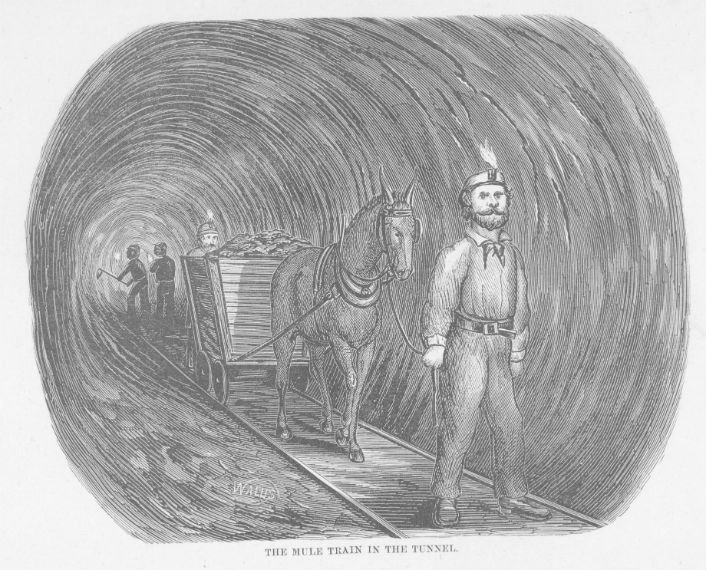 tunnels illustraion