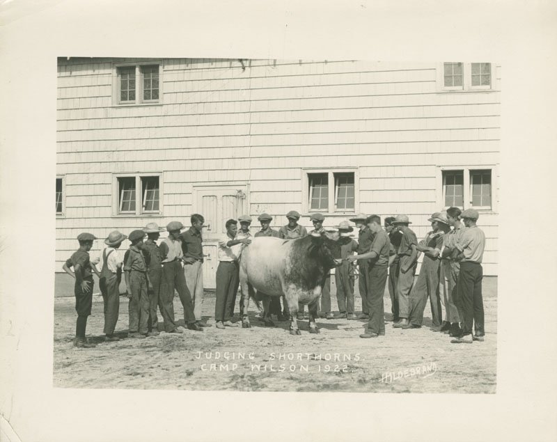 Black-and-white photograph of 19 adolescent white boys gathered around a Shorthorn in a farm yard. The group stands in front of a large farm building with white shingle siding.