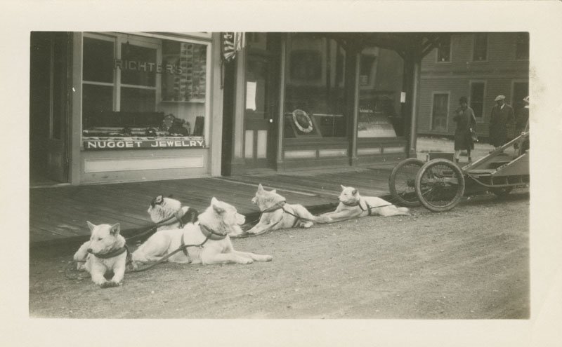 Black-and-white photograph of a team of five huskies lying on a dirt street near a wooden plank sidewalk. The dogs are tied to a sled outfitted with wheels. Two shops can be seen nearby, and one is a jewelry shop ("Richter's) with a sign that says "Nugget Jewelry." Two women and one man can be seen in the background near the street corner.