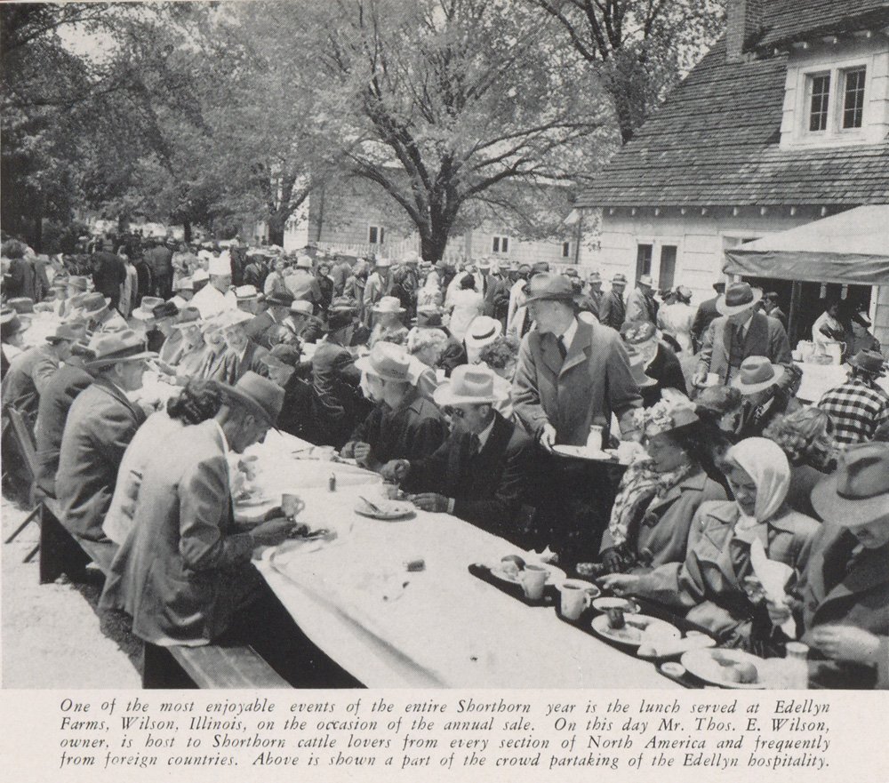 Black-and-white photograph of large crowd of auction sale attendees seated at long picnic tables. Trees and farm buildings visible in background. Caption reads "One of the most enjoyable events of the entire Shorthorn year is the lunch served at Edellyn Farms, Wilson, Illinois, on the occassion of the annual sale. On this day Mr. Thos. E. Wilson, ownder, is host to Shorthorn cattle lovers from every section of North America and frequently from foreign countries. Above is shown a part of the crowd partakin of the Edellyn hospitality."