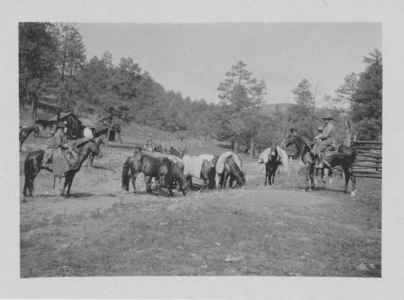 Black-and-white photograph of 11 horses grazing. Many horses have large packs on their back. Four horses have men riding them. A wooden cabin and pine trees are shown in the background.