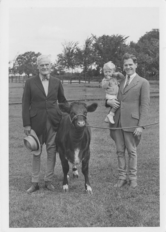 Black-and-white photograph of Thomas E. Wilson, Edward Foss Wilson, one of Edward's children, and a calf standing in a farm field. A wooden fence and trees can be seen in the distance behind them. Thomas is an older white man with white hair wearing a dark jacket, bowtie, light colored trousers, and boots. He holds a straw hat in one hand, and rests his other hand on the back of the calf. Edward is a young white man with dark hair wearing a jacket, tie, trousers, and boots. Edward is holding the child on one hip, The child appears to be a two-year-old white boy with light blonde hair, wearing a cardigan sweater, shorts, and white shoes and socks. The men smile into the camera. The child presses a finger to his lips.