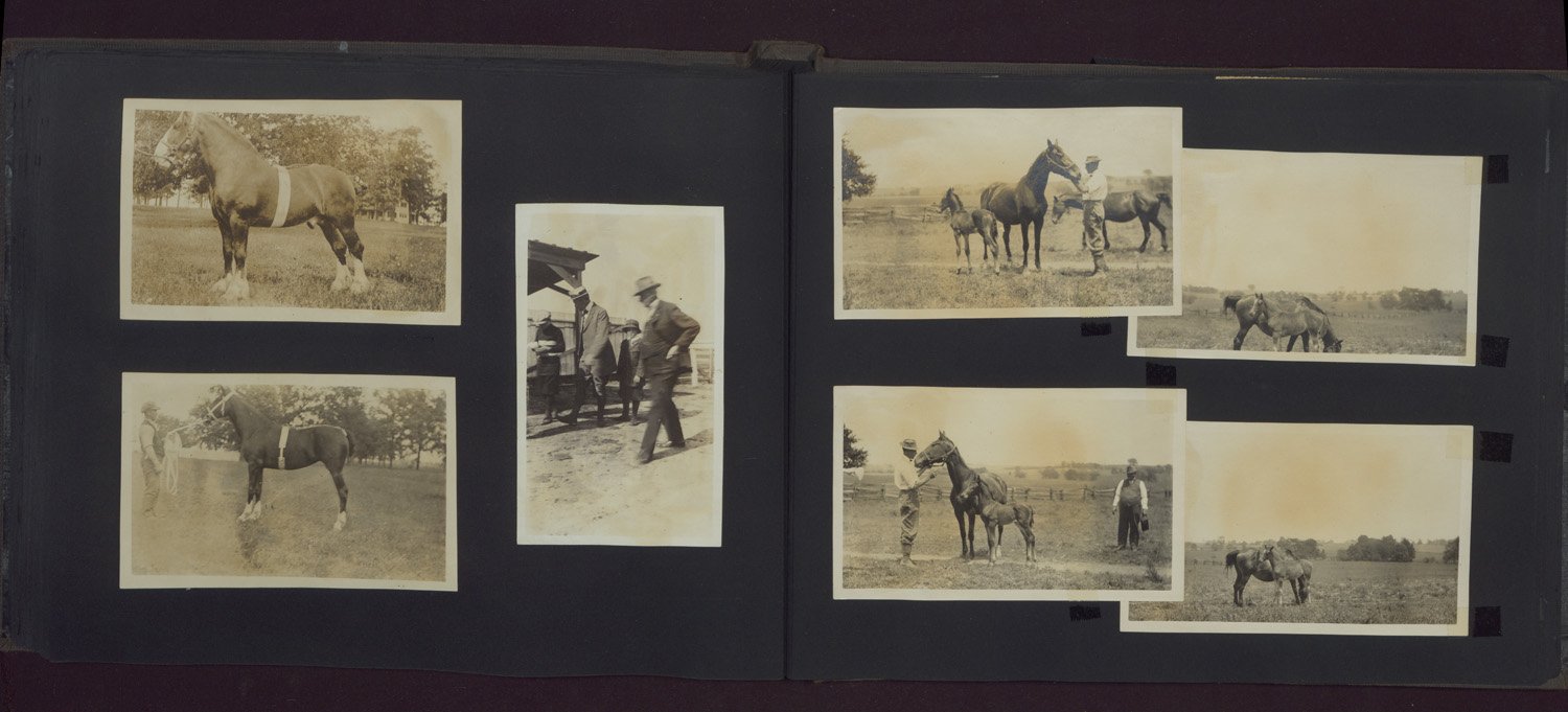 Seven black-and-white snapshots of horses on Edellyn Farm in a photo album. Horses are shown in farm fields with their handlers. One photograph shows Thomas E. Wilson with his children, presumably walking through an animal pen on the farm.