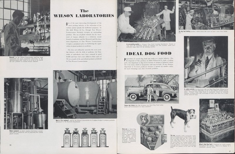 First page discusses "The Wilson Laboratories" and the use of animal gland extracts to produce medicines. The second page discusses the production of "Ideal Dog Food."